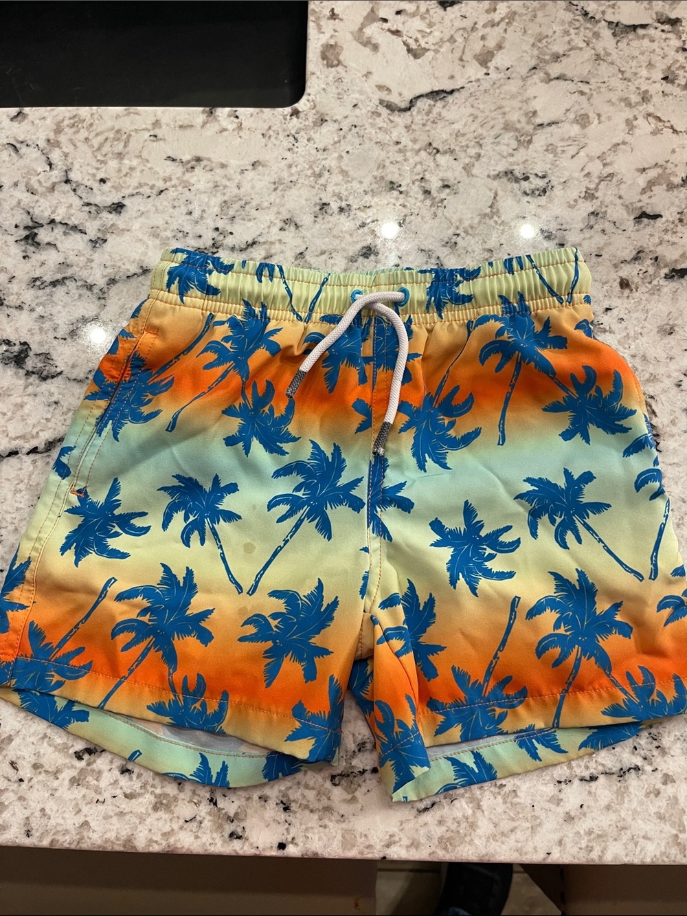 Men's Tropical Palm Print Swim Shorts in Orange & Blue